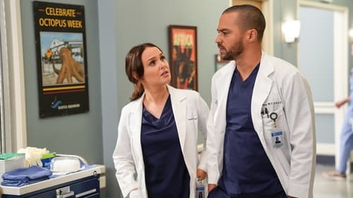 Grey's Anatomy - Season 16 - Episode 14: A Diagnosis