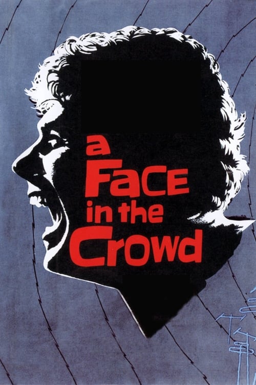 Grootschalige poster van A Face in the Crowd