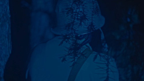 Echoes in the Wire still