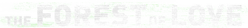 The Forest of Love