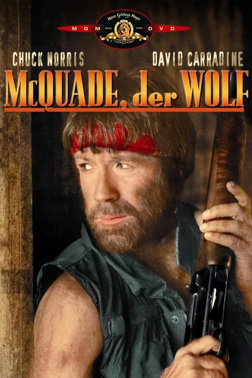 Lone Wolf McQuade poster