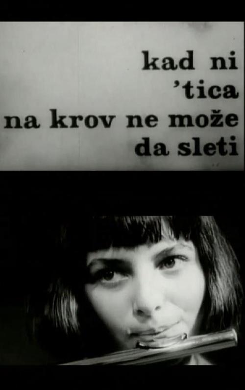 Kad ni 'tica na krov ne može da sleti movie poster player