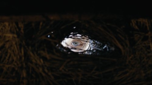 Shaman image 5