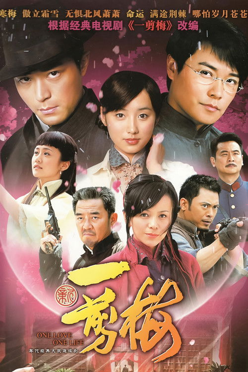 New Spring of Plum Blossoms Poster