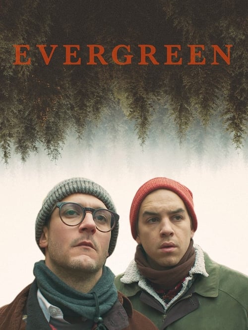 Where to stream Evergreen