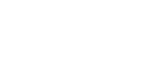 The Invisible Witness