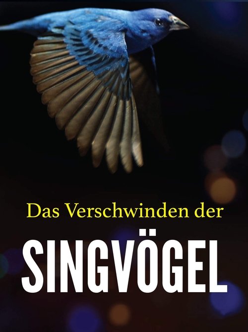 no_movie_cover