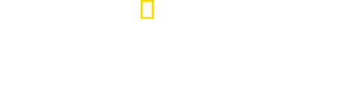 Nazi Megastructures