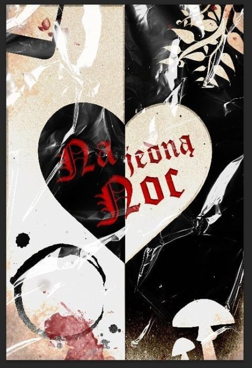 Affiche du film Na jedną noc