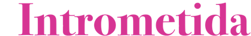 A Intrometida