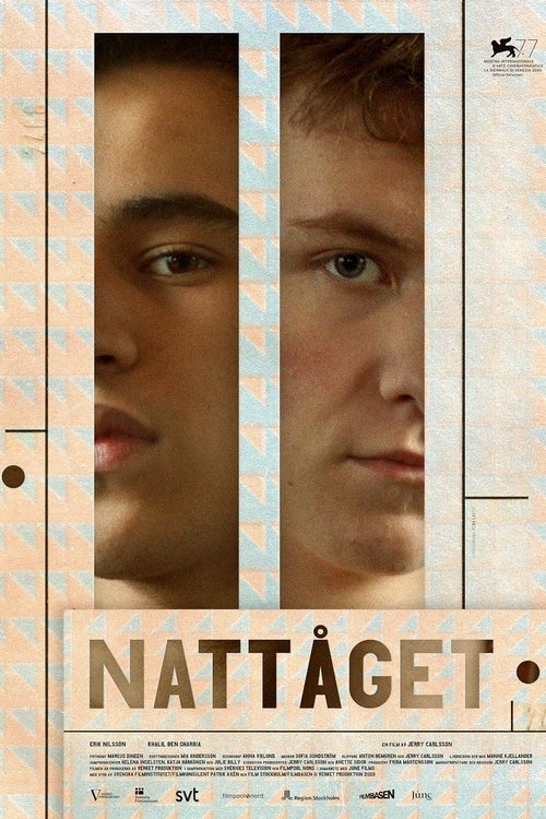 Poster for The Night Train (2020)