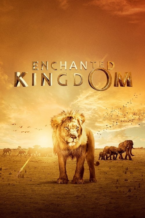 Enchanted Kingdom Movie Poster Image