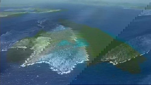 Wild Caribbean