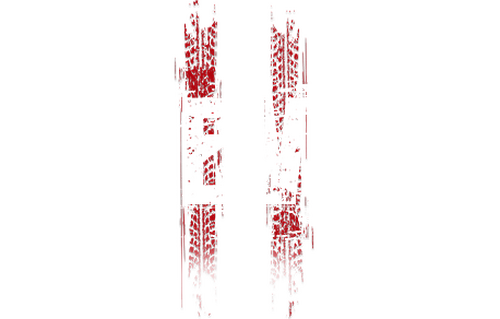 Eleven