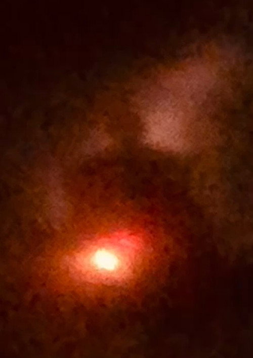 The Plagues Warmth Is My Only Source Of Comfort