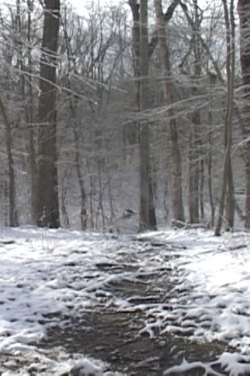 Landscape Tempos 40-50