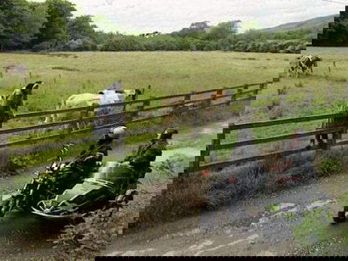 Image de l'épisode 1