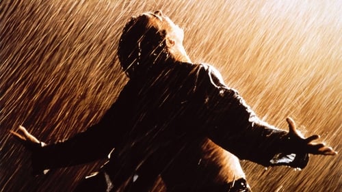 The Shawshank Redemption - Fear can hold you prisoner. Hope can set you free. - Azwaad Movie Database
