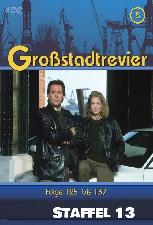 Where to stream Großstadtrevier Season 13