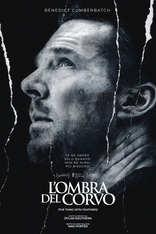 L'ombra del corvo