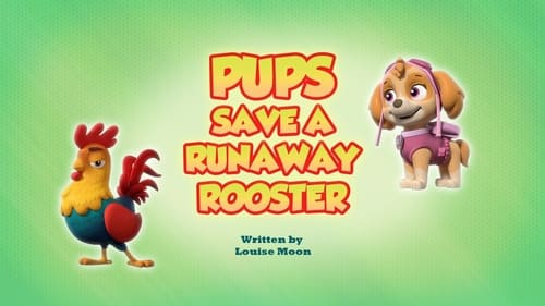 PAW Patrol - Season 8 - Episode 3: Pups Save a Runaway Rooster
