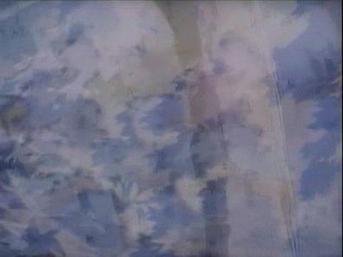 Episode 81