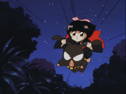 Poster della serie Ranma ½ OAV