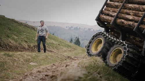 Poster della serie Undercut: l'oro di legno