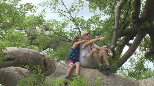 A Safari Without a Lion