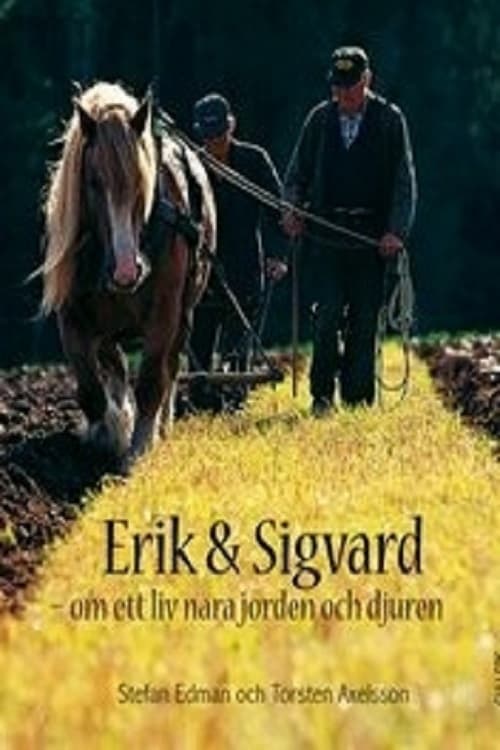 Erik och Sigvard: Ett år i Småland (1994) poster