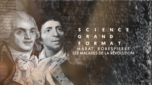 Image Marat, Robespierre, les malades de la Révolution