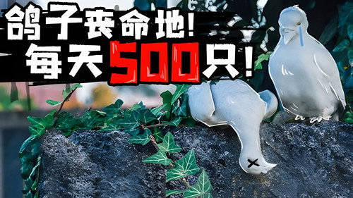 Episode 46