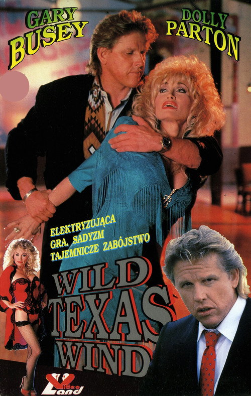 Affiche officielle OAV Wild Texas Wind
