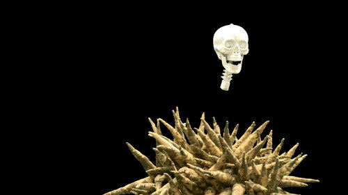 Slut in the Military Circus