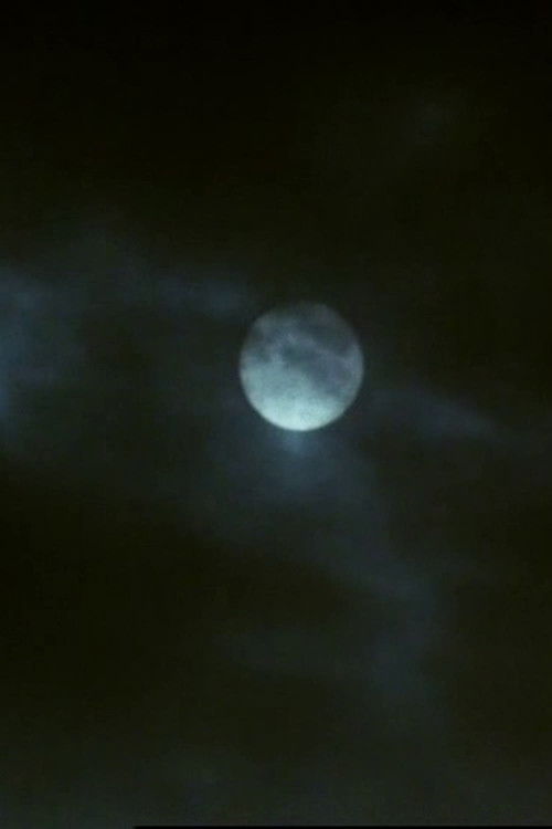 Affiche du film Blind Light