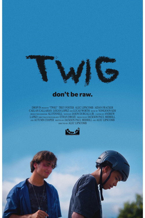Twig poster