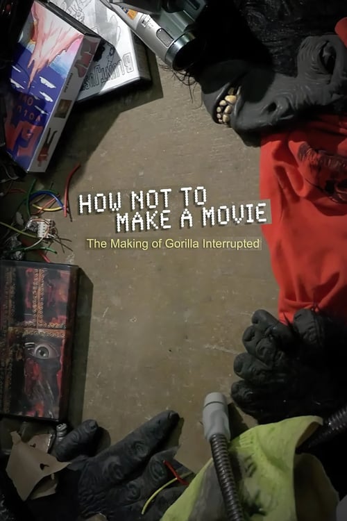 Grootschalige poster van How Not to Make a Movie