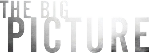 The Big Picture