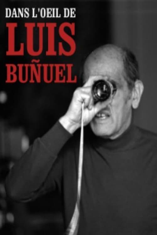 Dans l'œil de Luis Buñuel (2013) poster
