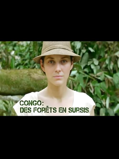Poster Congo: Des forêts en sursis 2010