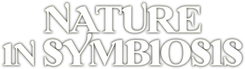 Associations de bienfaiteurs Logo