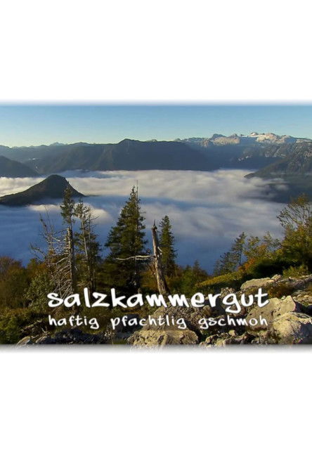 salzkammergut - haftig, pfachtlig, gschmoh (2014) poster