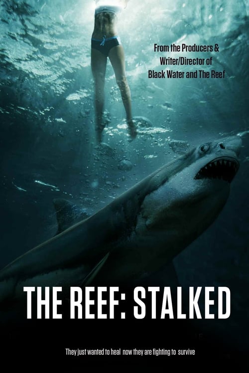 The Reef: Stalked Watch