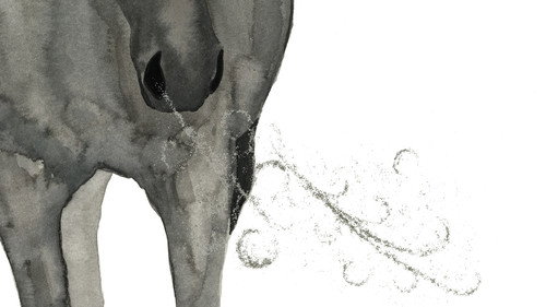 La Voie de l'Écuyère