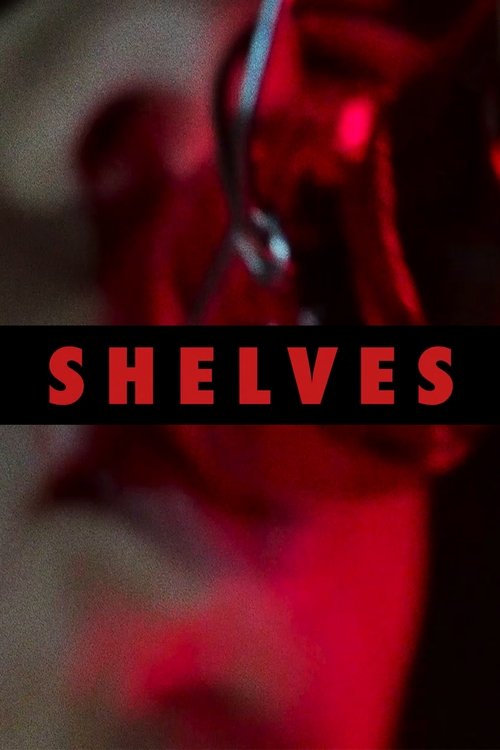Shelves Poster
