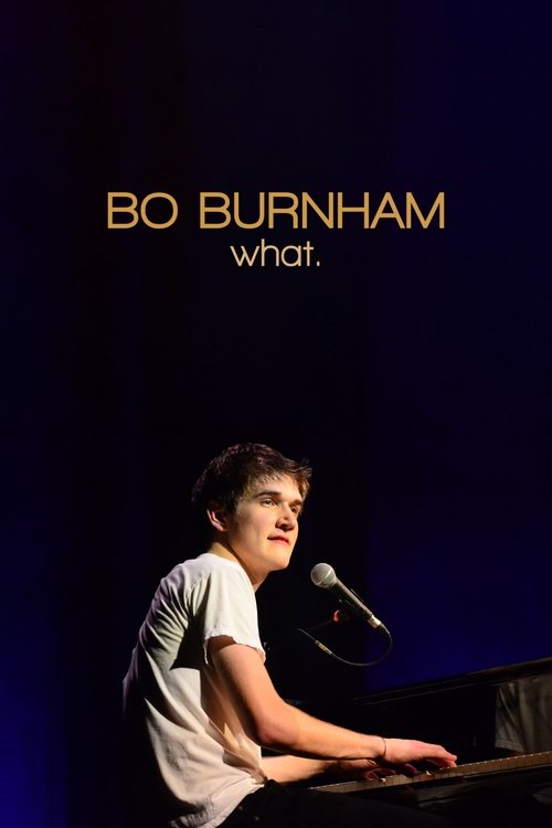 Bo Burnham: What. poster