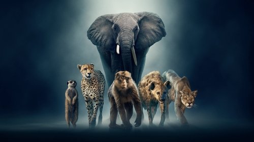 Dynasties