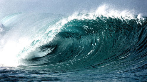 Tsunami: The Wave That Shook the World Backdrop Blur