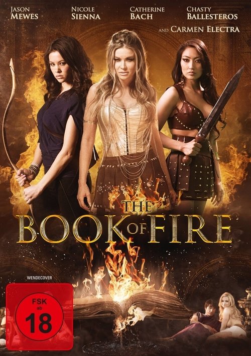 The Book of Fire movie poster player