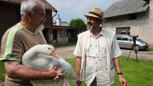 Image de l'épisode 5